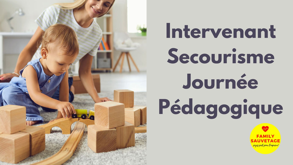 Journée Pédagogique - Intervenant Premiers Secours en Crèche