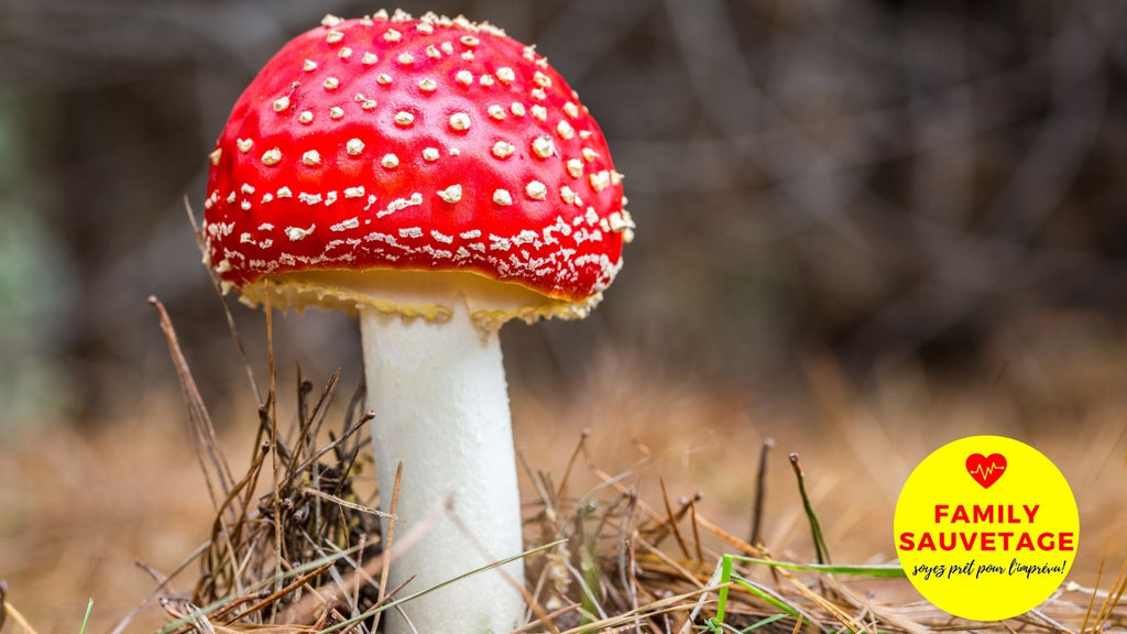 Quand appeler le centre antipoison?