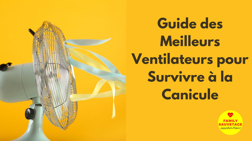 Guide des Meilleurs Ventilateurs pour Survivre à la Canicule