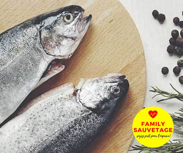 poisson mercure bebe enfant eviter alimentation